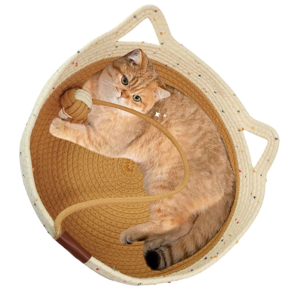 Cama Gato Ninho Cestinho Arranhador Pet Felino Brinquedo Bolinha Rasqueador Confortavel Animais Estimaçao