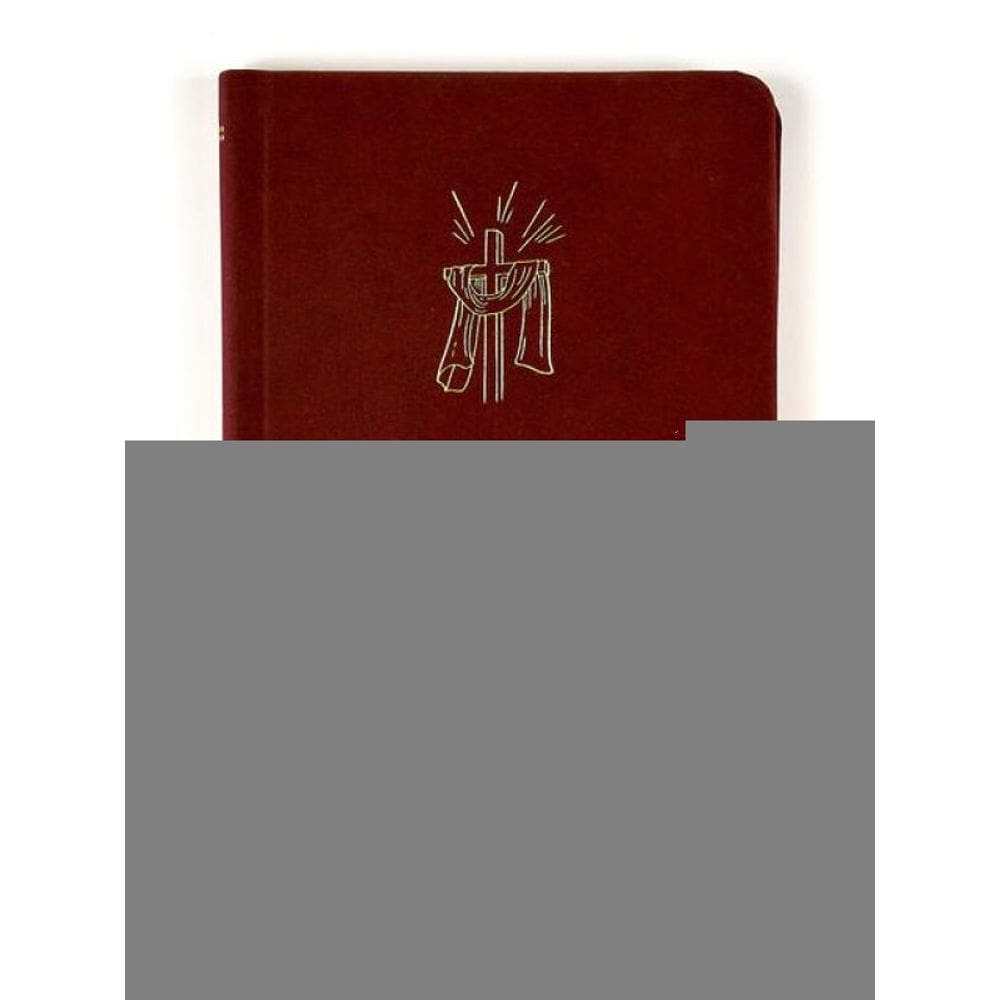 Bíblia Sagrada Slim Nvi, Luxo, Tecido Cereja Sobre Capa Dura, Com Elástico Transversal
