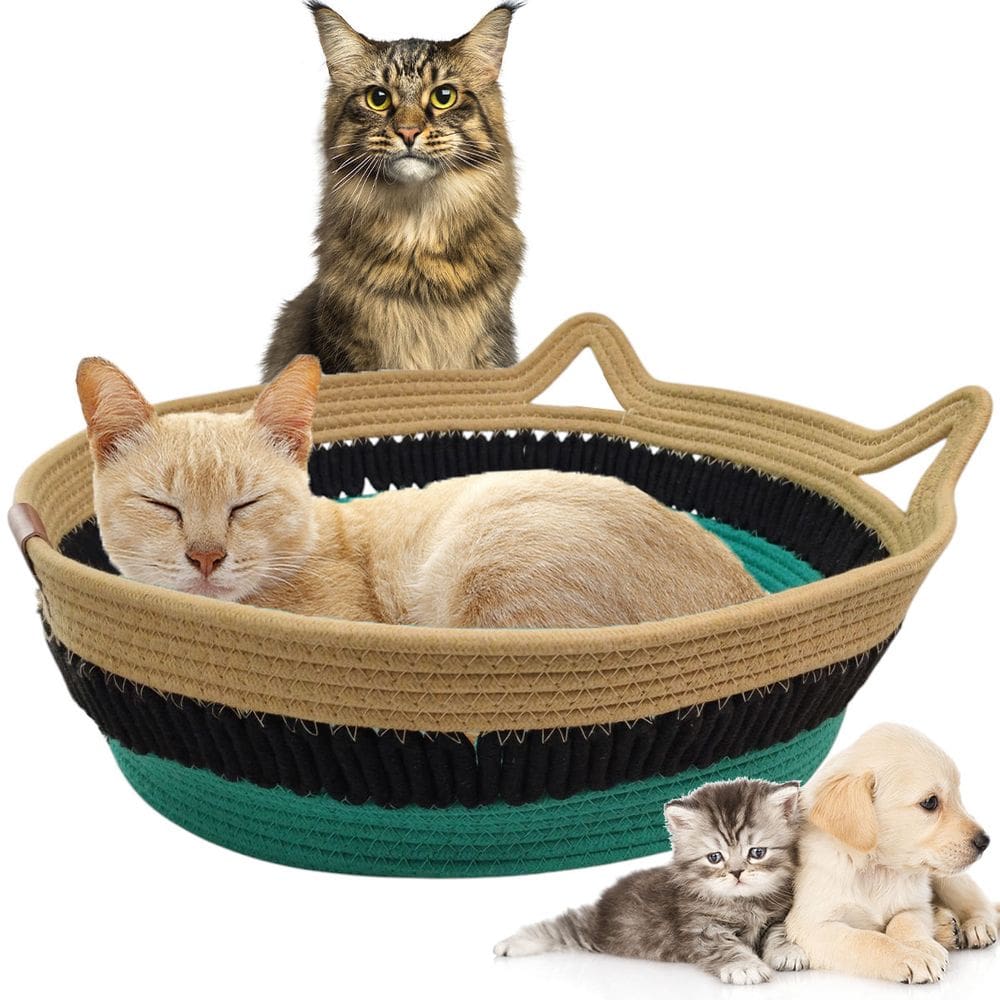 Cama Arranhador Gato Pet Felino Cao Ninho Rasqueavel Cestinho Resistente Confortavel Divertido Petshop Casa
