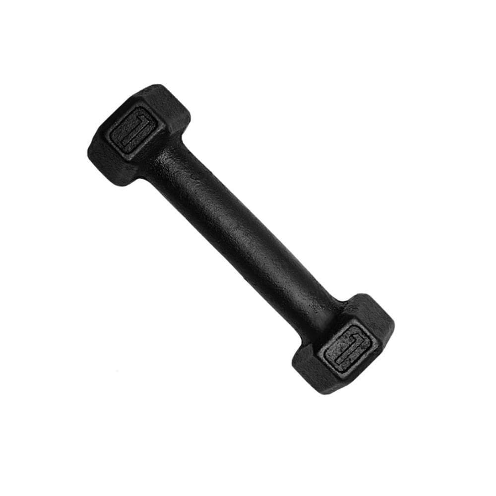 Halter Sextavado Dumbell Pintado 1Kg Academia Treino Ferro