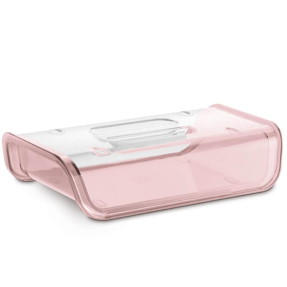Porta Frios Plástico Tampa Transparente Pote Queijo Presunto Uz