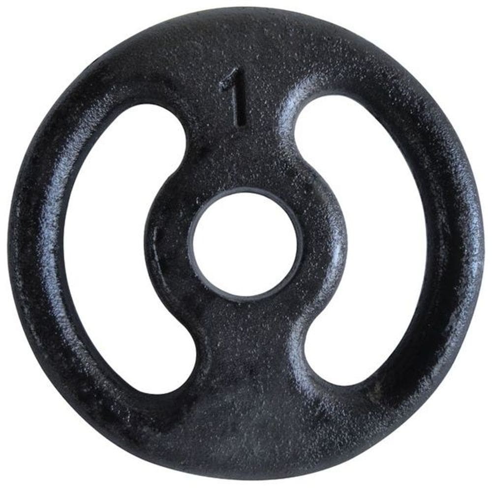 Anilha Fitness Ferro Pintada Academia Musculação Treino 1Kg