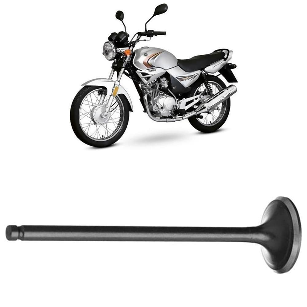 Válvula Admissão TT-R 125 XTZ 125 YBR 125 Vini Controlflex