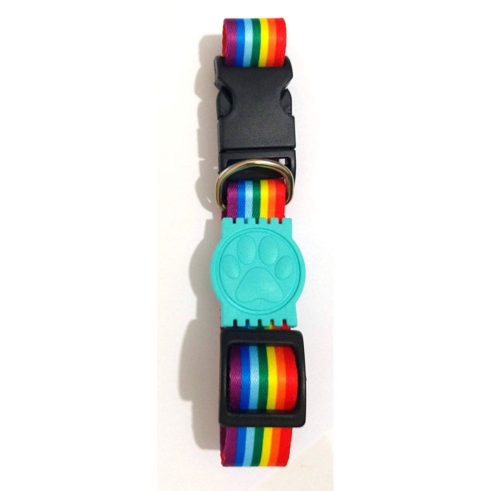 Coleira Seda 25mm arco iris Tamanho Único  32cm49cm