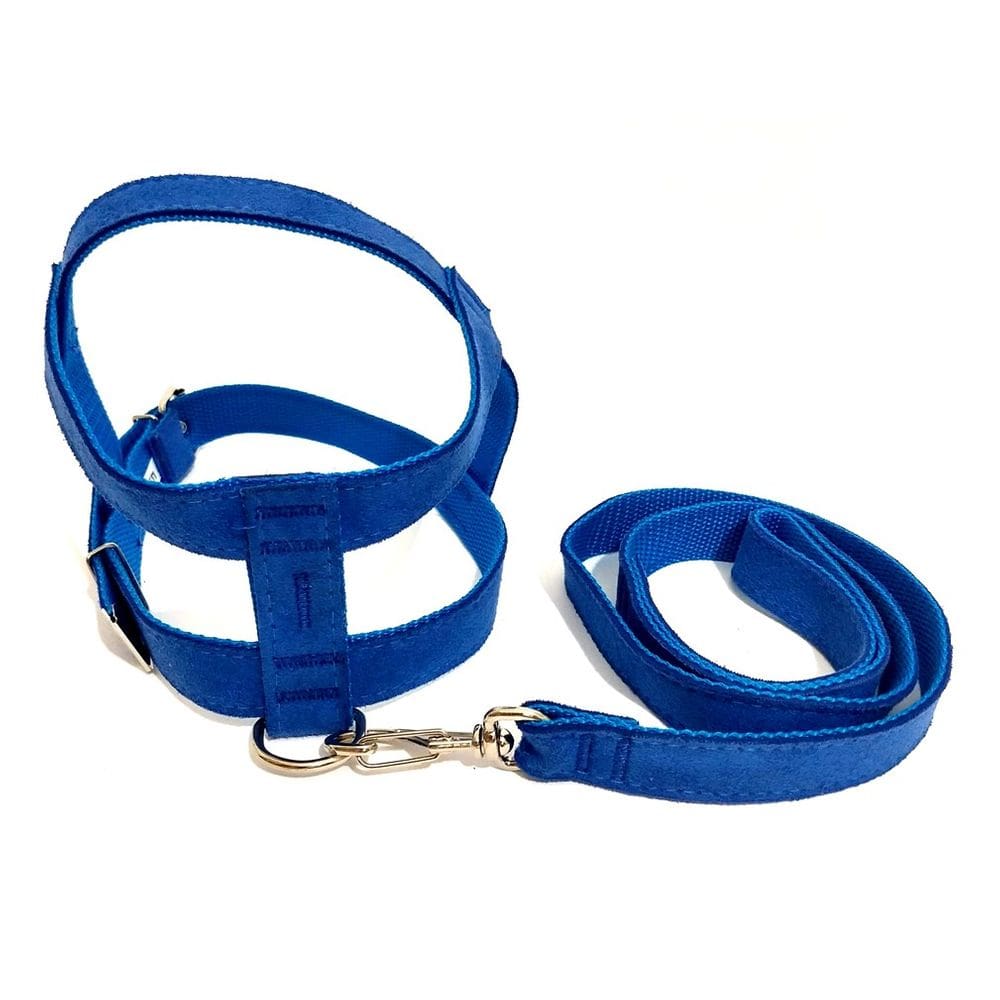 Conjunto Peitoral e Guia de Camurça 25mm Azul Tamanho 6