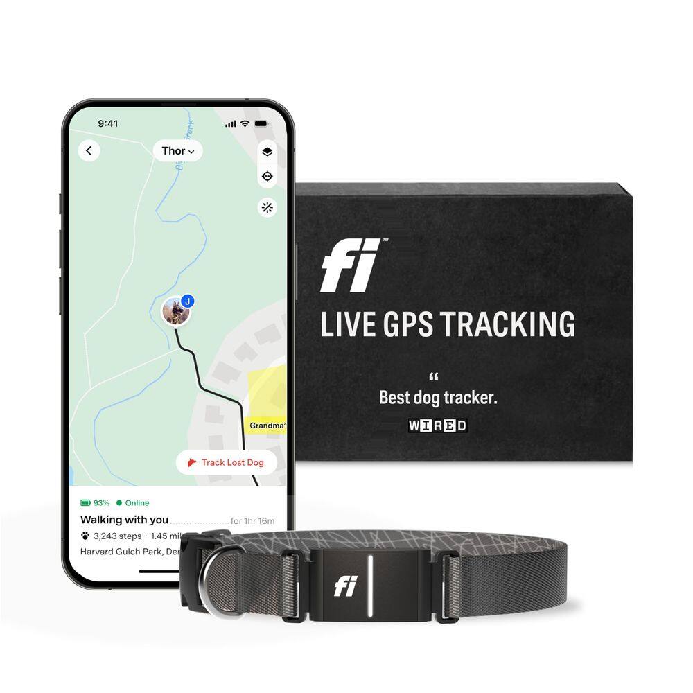 Rastreador GPS Smart Dog Collar Fi Series 3 à prova d`água cinza