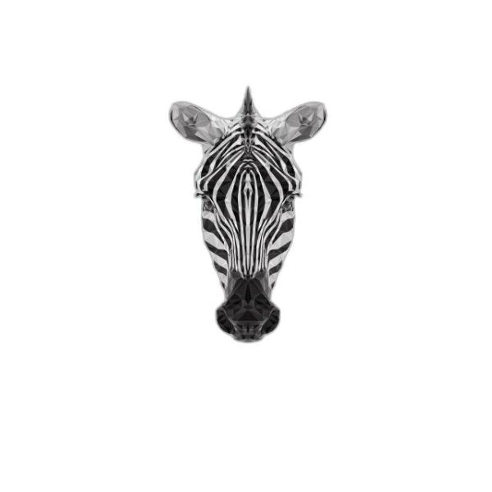 Quadro Cabeça De Zebra Geométrica 33X24Cm - Madeira Branca
