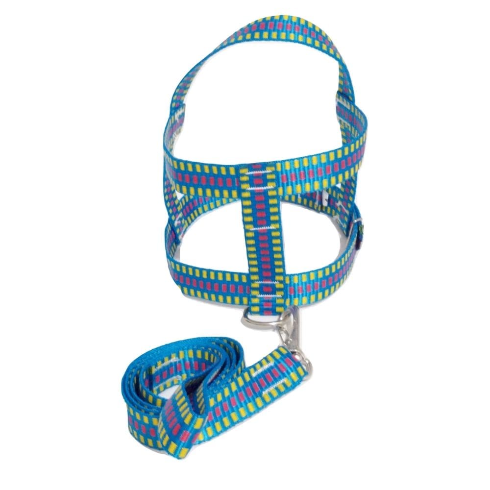 Guia com peitoral 25mm azul quadriculado 4 46 cm a 51 cm