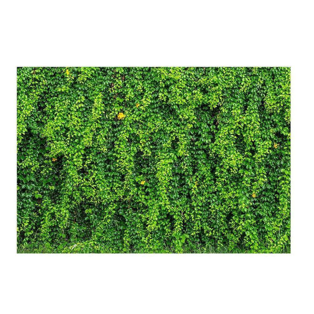 Fundo Fotográfico Muro Inglês 2,2X1,5 Fff-503