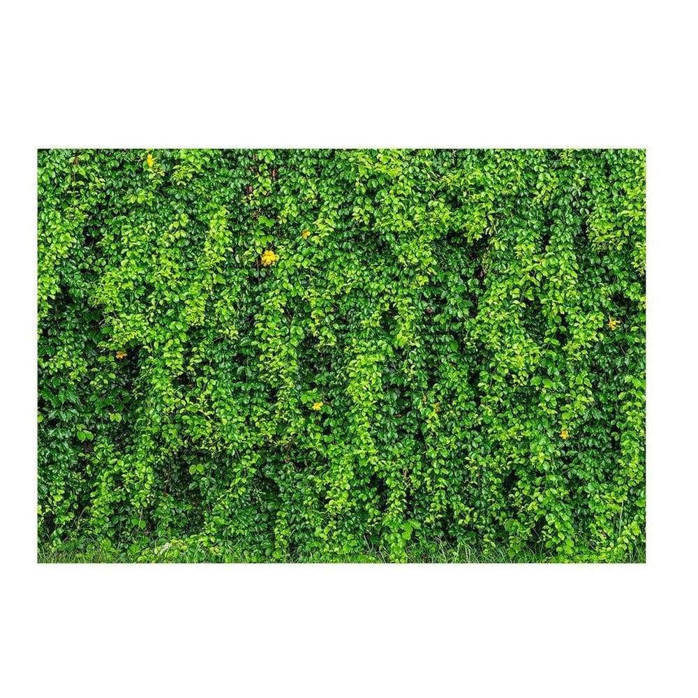 Fundo Fotográfico Muro Inglês 2,2X1,5 Fff-503