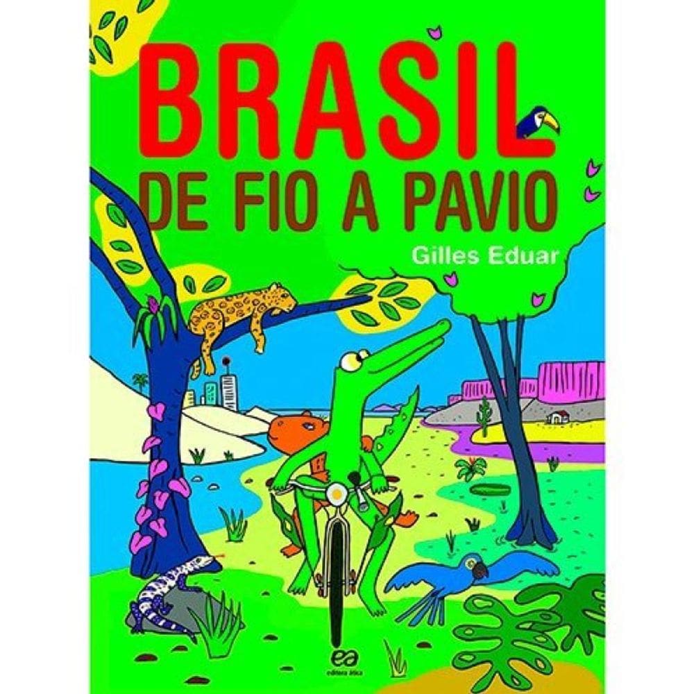 Brasil de fio a pavio: Viagem pelos estados brasileiros