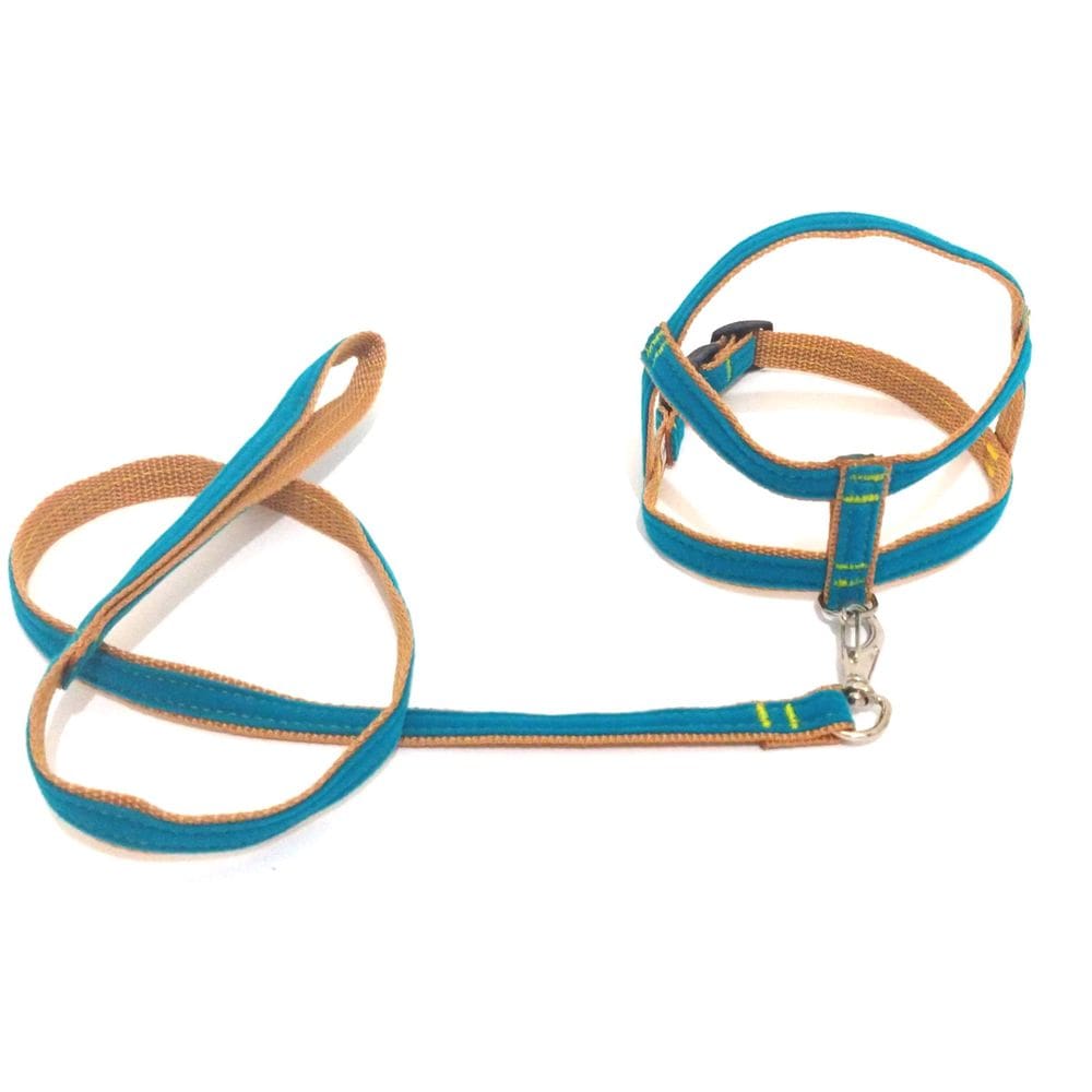 Conjunto Peitoral de Veludo liso verde  tamanho 04