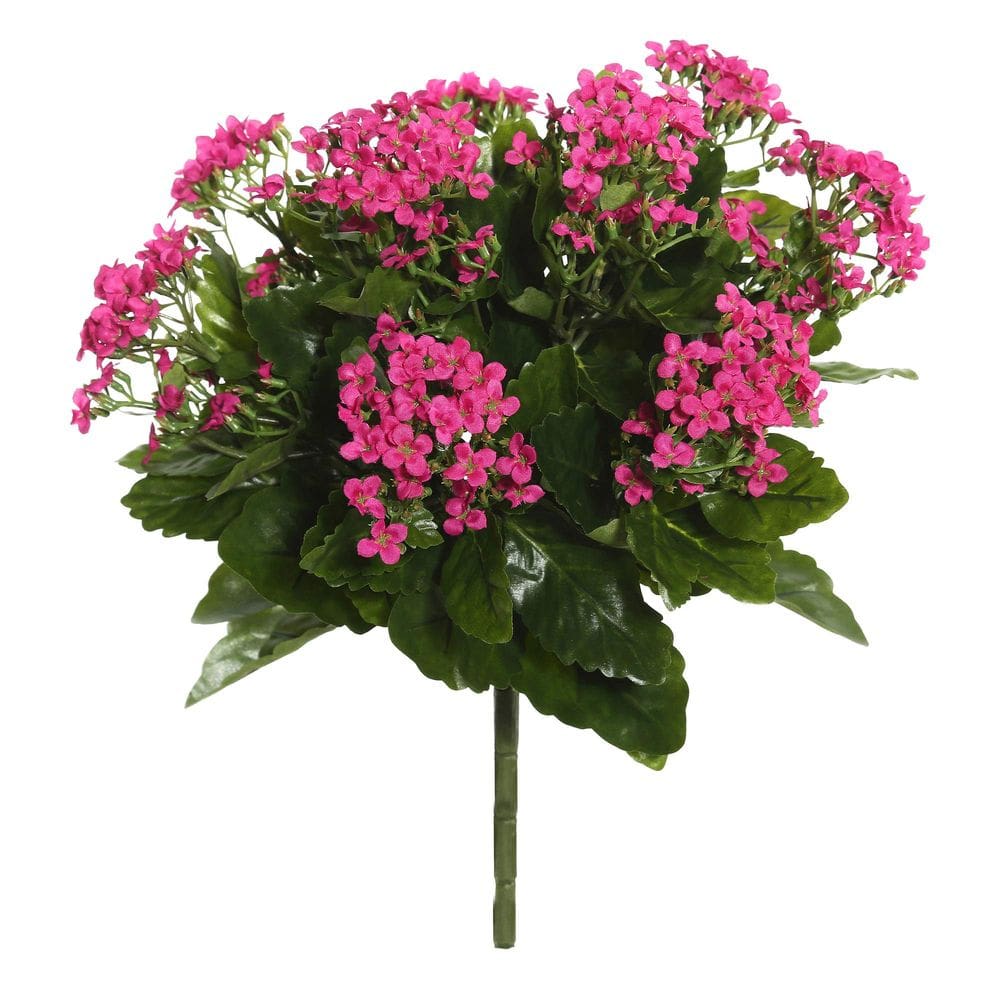 Decoração floral artificial Vickerman Hot Pink Kalanchoe Bush