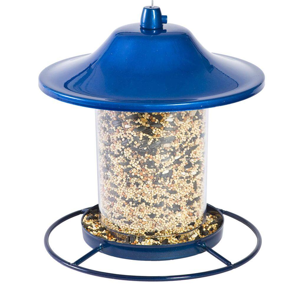 Alimentador de pássaros Perky-Pet 312B Blue Sparkle Panorama, capacidade de 1 kg