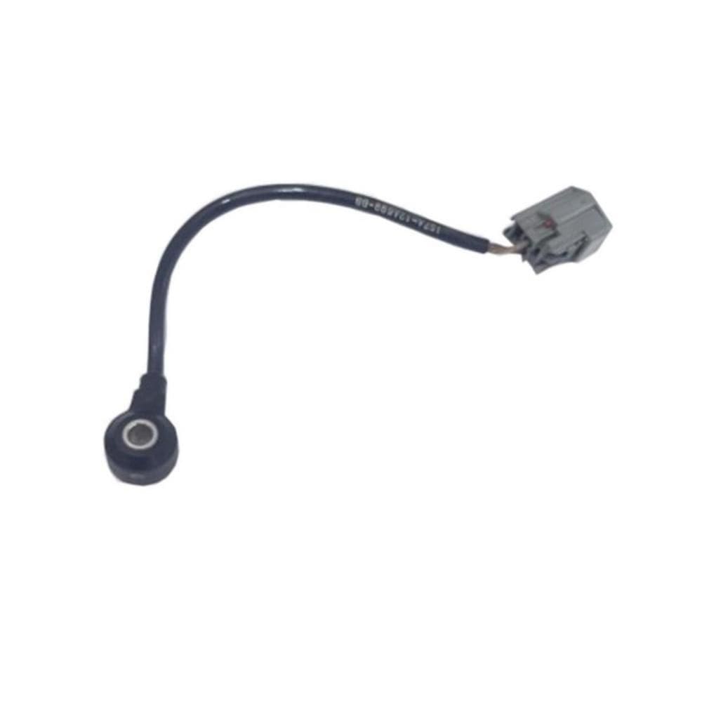 Cabo Chicote Flauta Ford Focus 1.6 16V 1928405376