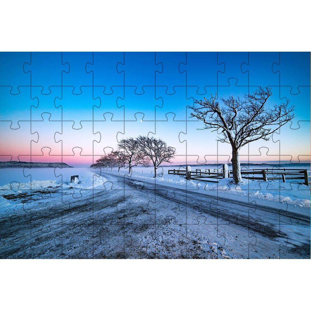 Kit 3 Quebra-Cabeças Educativo Nevasca Inclusivo De 60 Peças