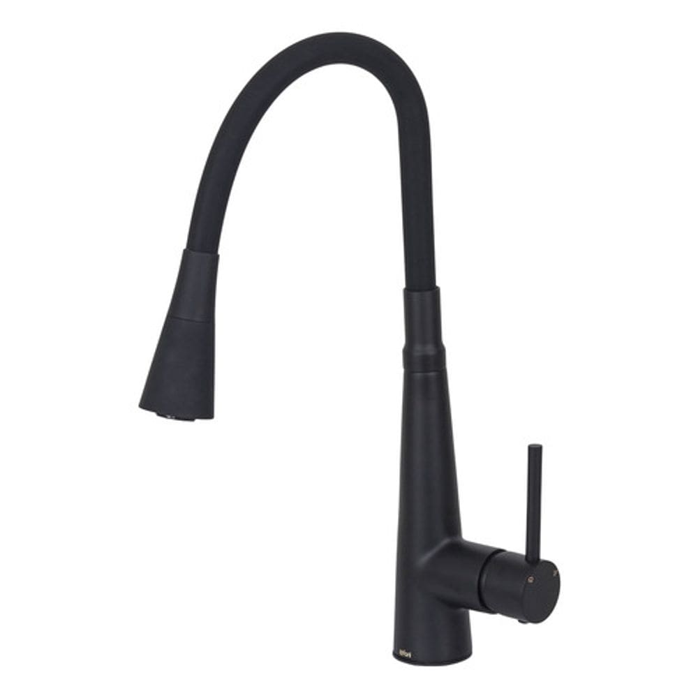 Torneira Monocomando Preto Fosco Bica Alta Fani Flex