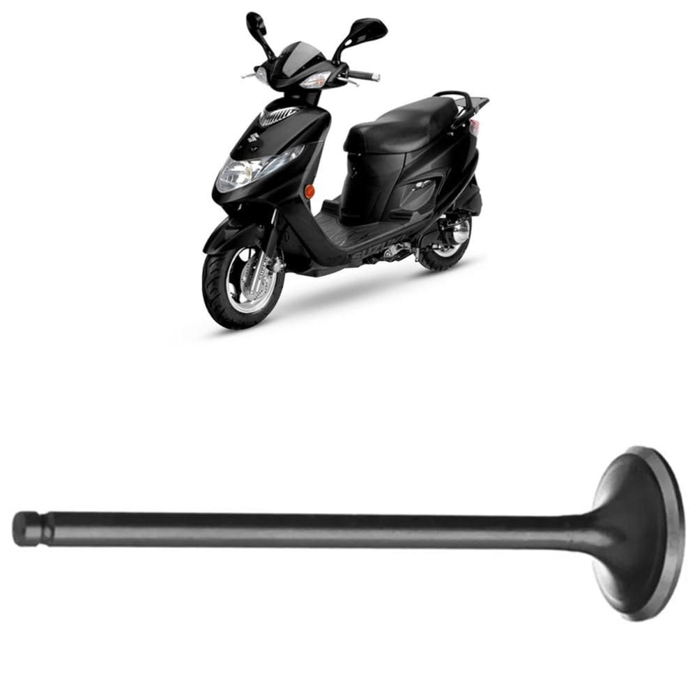 Válvula Admissão AN 125 Burgman 2006 a 2010 Vini Controlflex