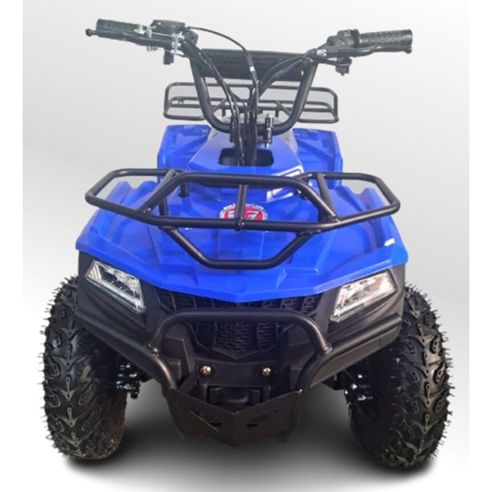 Quadriciclo 49cc Mini Touro Azul Automático Partida Elétrica Farol Gasolina com Óleo 2 Tempos BARZI MOTORS