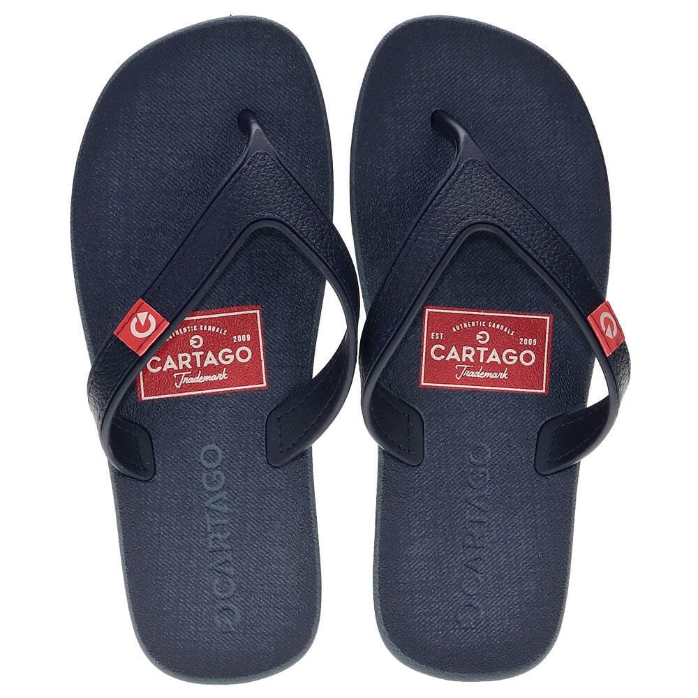 Chinelo Masculino Dakar Cartago 10738