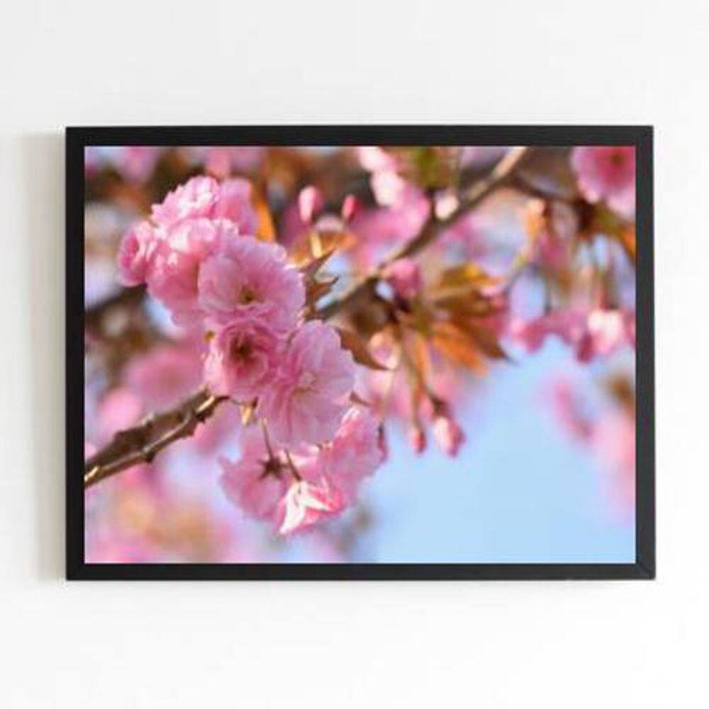 Quadro Fotografia Flores Rosas 24X18Cm