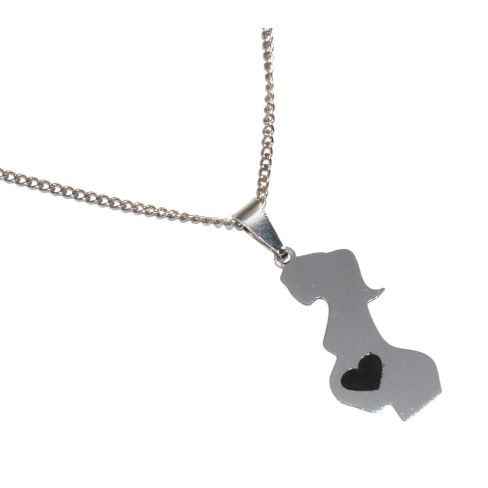 Colar Cordão Gestante Gravida Maternidade Aço Inox