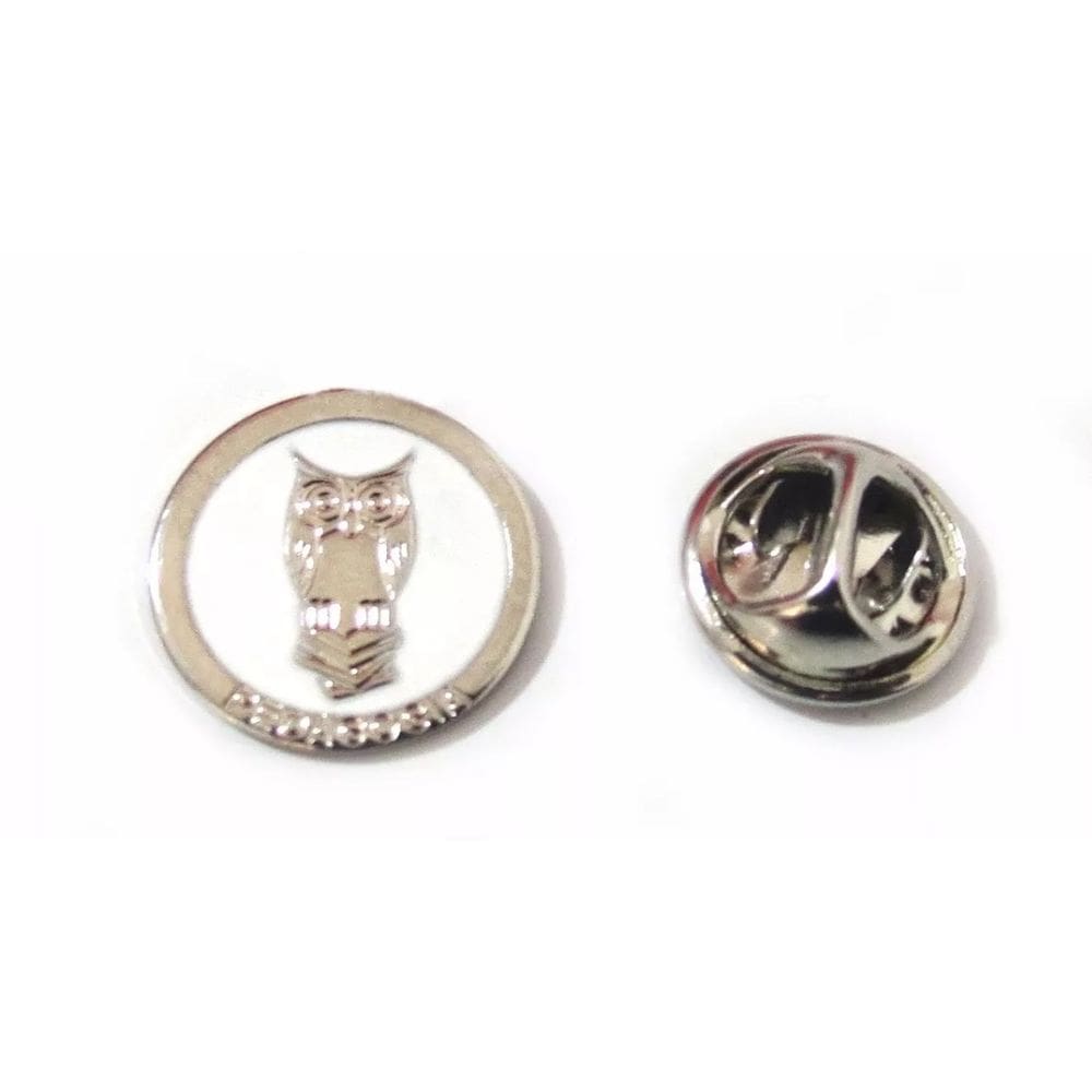 Broche Pedagogia Professora Folheado Níquel