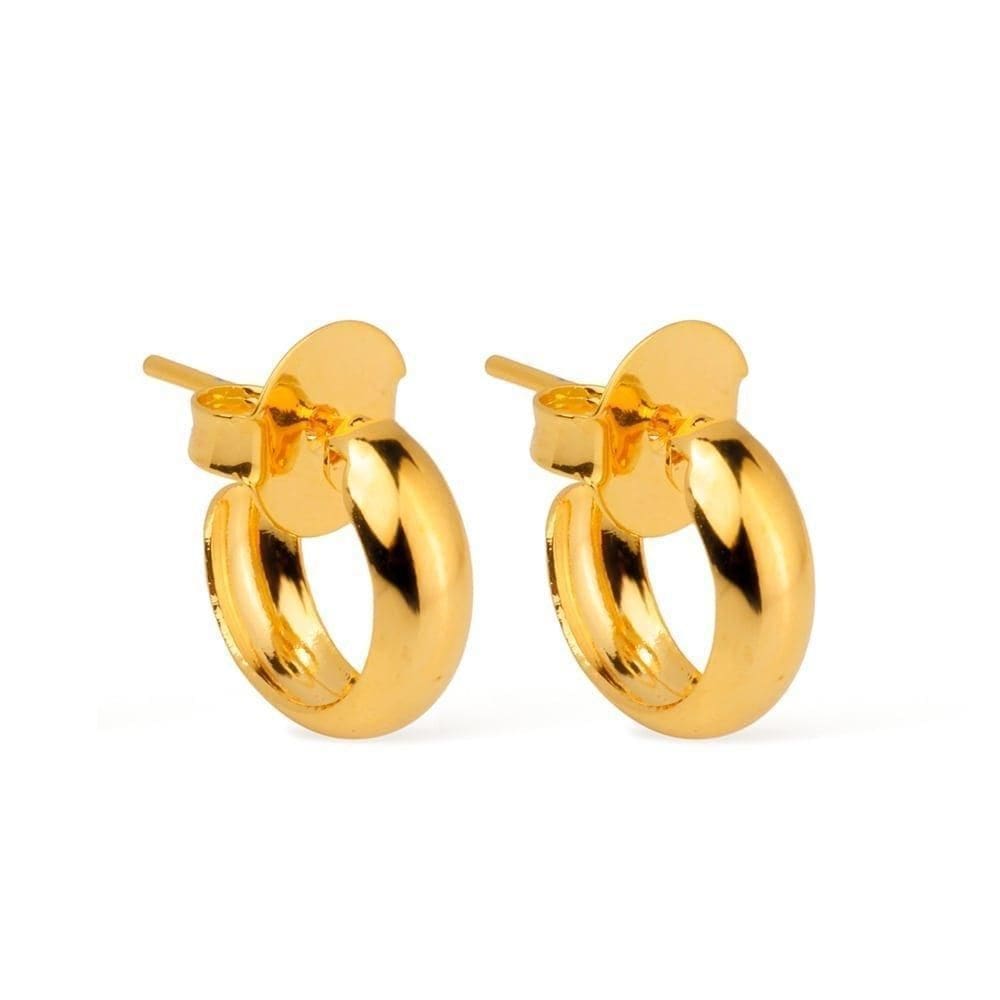 Brinco Dourado De Argolinha