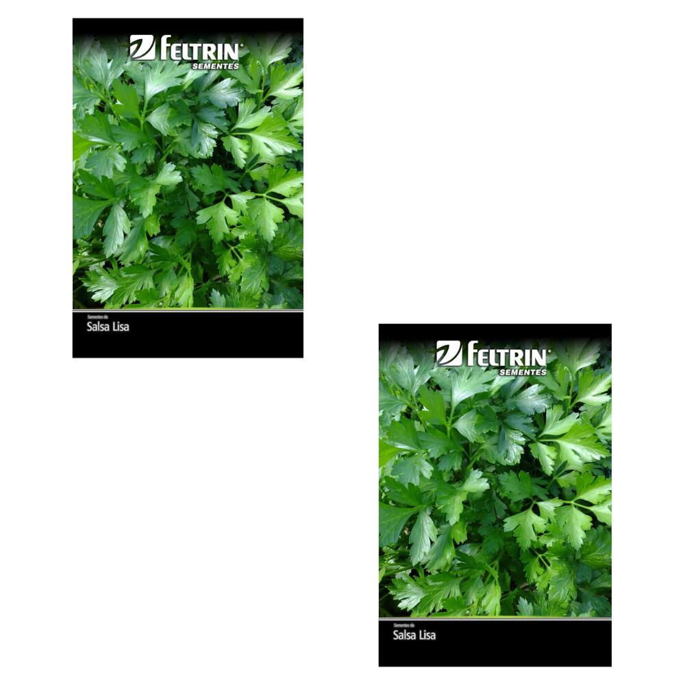 Kit 2 Pcts Semente Feltrin Salsa Lisa 900G