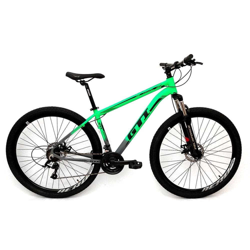 Bicicleta GTI Roma Aro 29 Quadro 15 Alumínio verde/cinza 24V