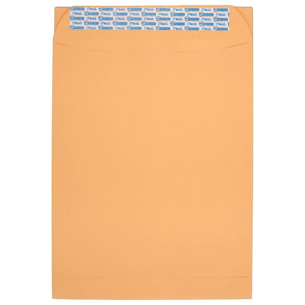 Envelope Mead Press-It Seal-It 10x13 polegadas, pacote com 20