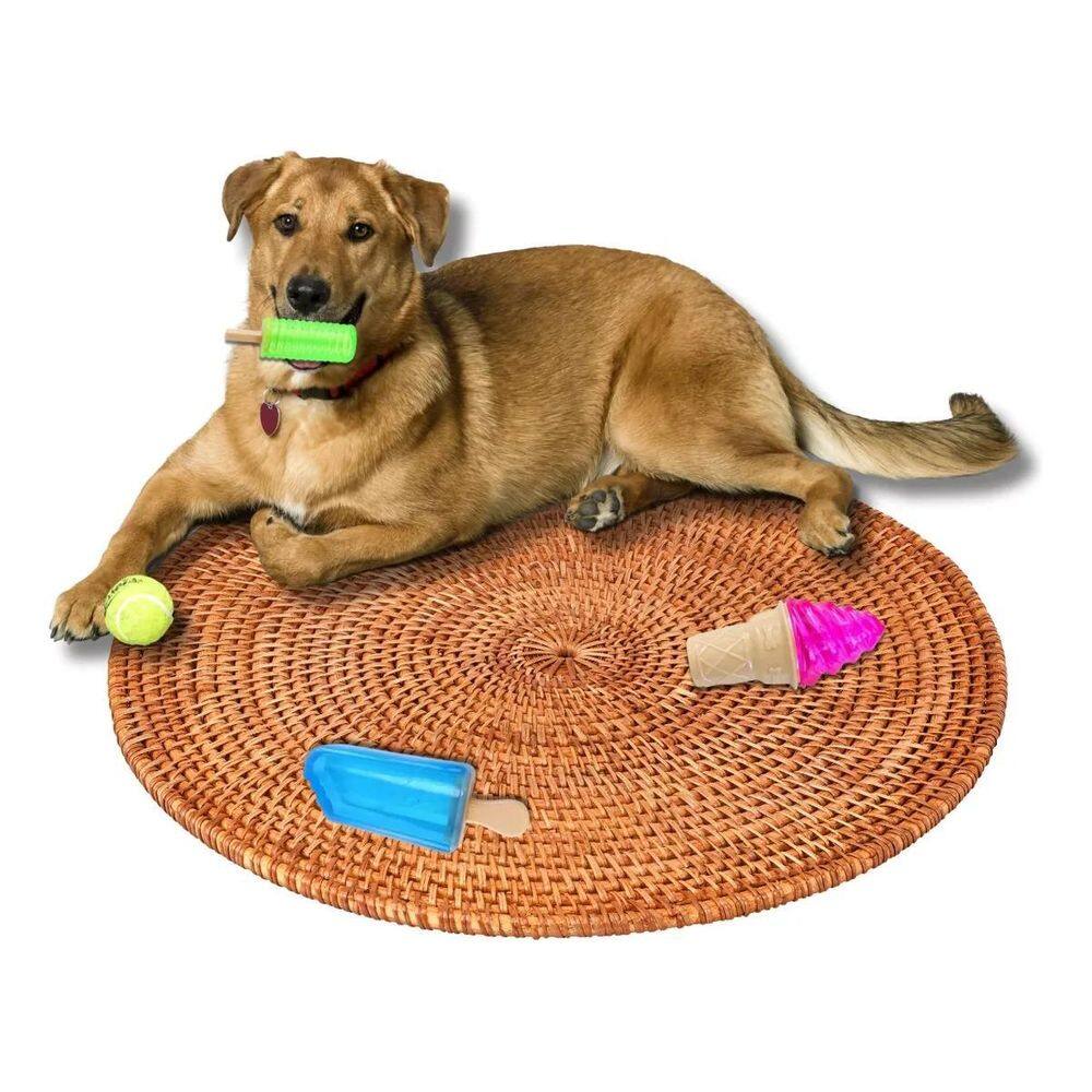 Kit 3 Mordedor Gelado Sorvete Para Pet