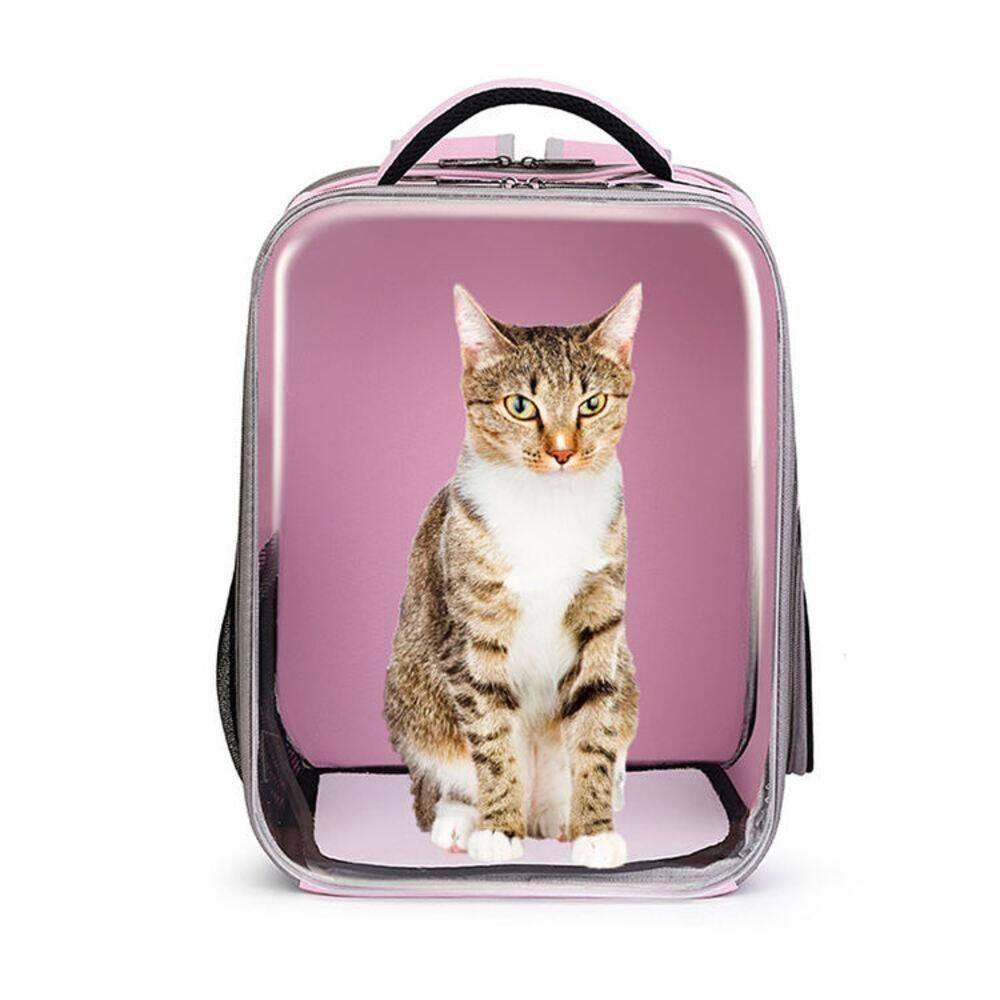 Mochila Pet Bolsa De Transporte Astronauta Transparente Para Cão E Gato rosa