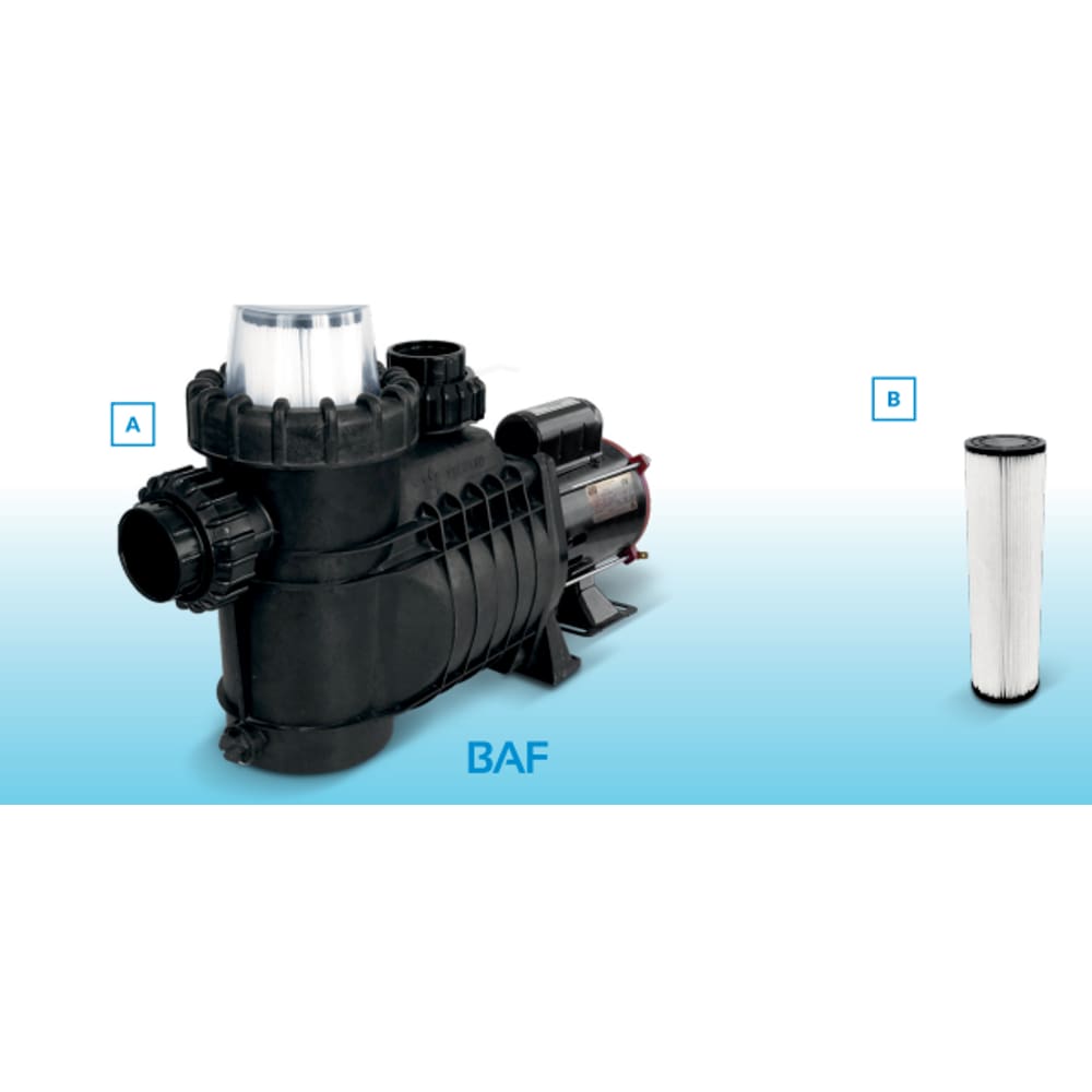 Bomba Baf 1/3Cv Com Cartucho E Motor Weg Bivolt Netuno