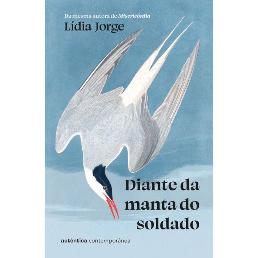 Diante da manta do soldado (da mesma autora de Misericórdia)