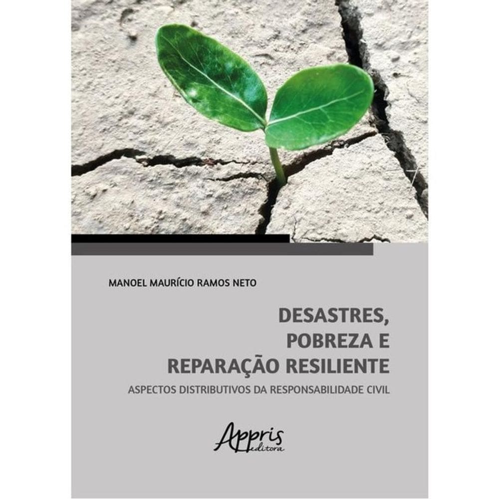 Desastres, Pobreza E Reparação Resiliente