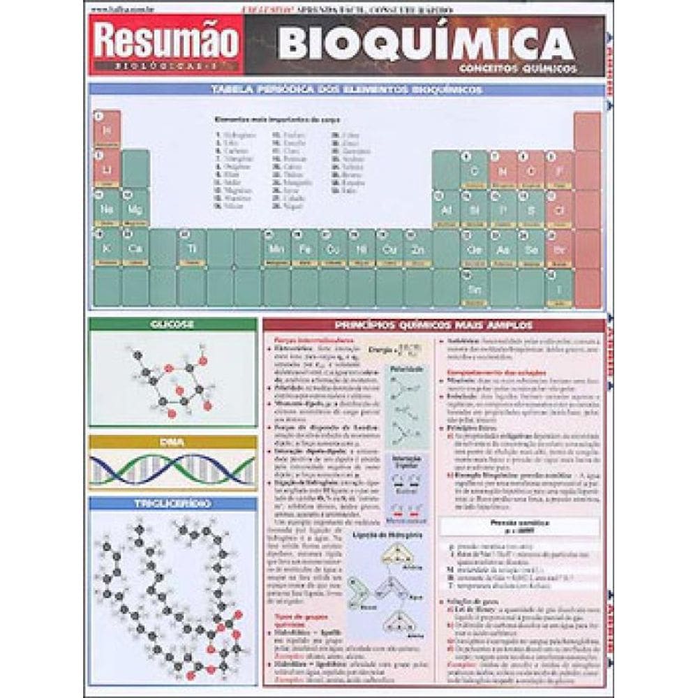 Bioquimica - Resumao
