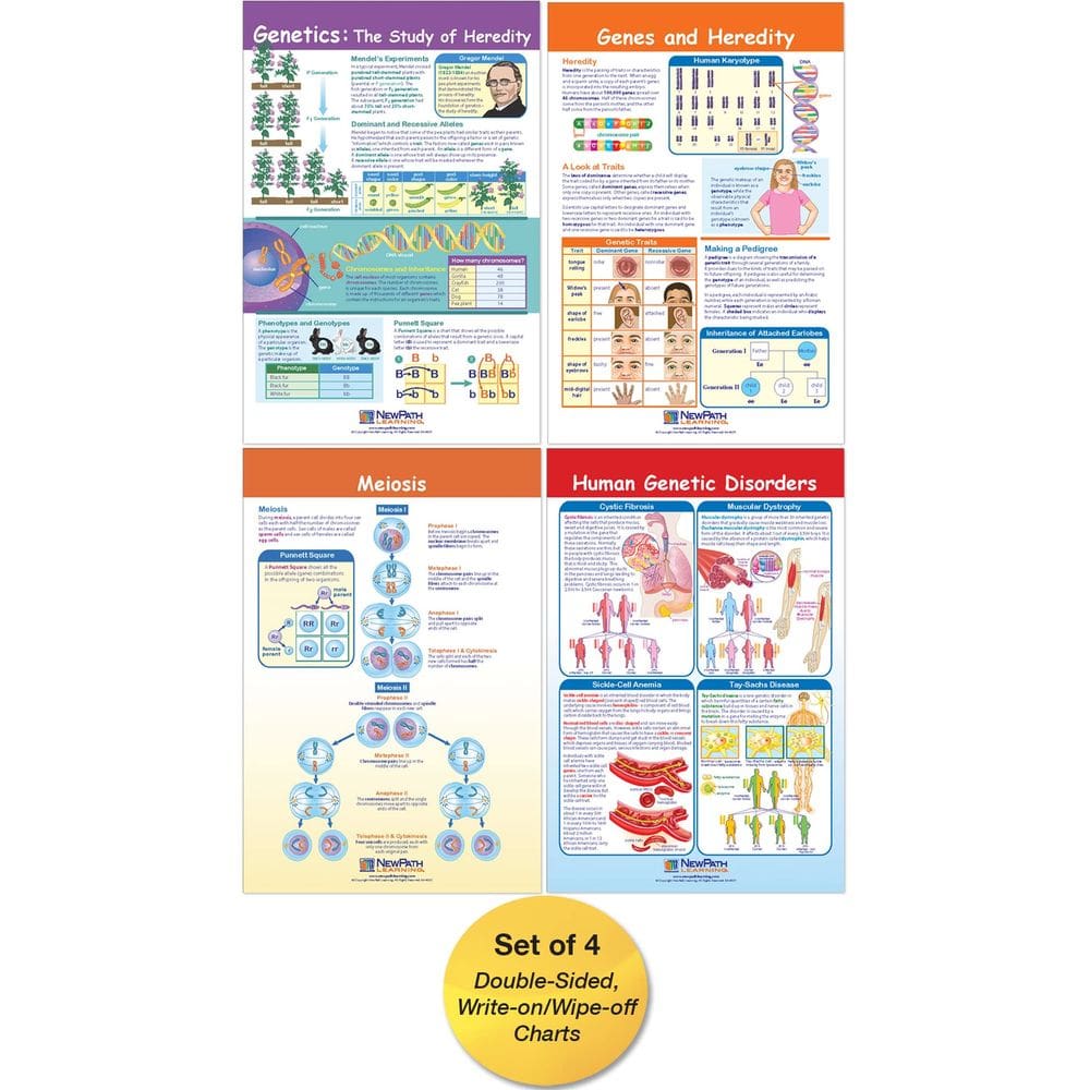 Conjunto de gráficos de quadro de avisos NewPath Learning Genetics x4