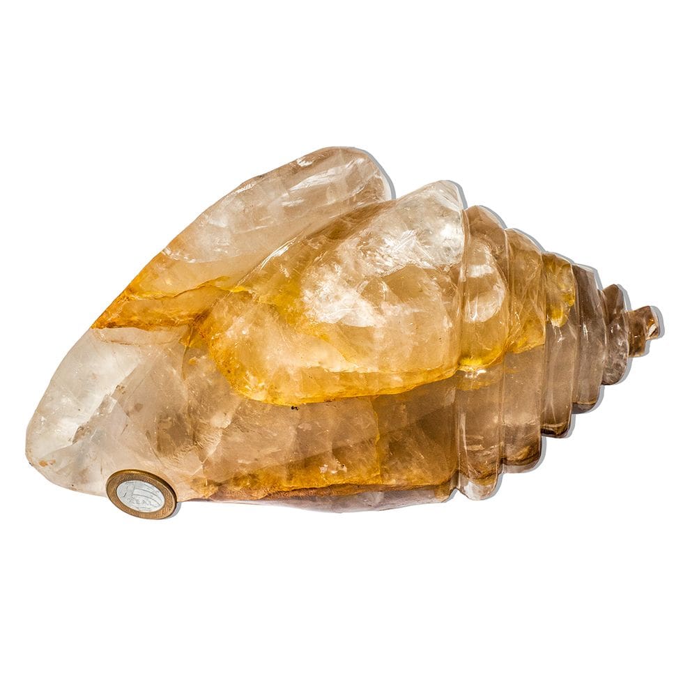 Escultura Concha do Mar Esculpido Citrino 2,6Kg 23cm