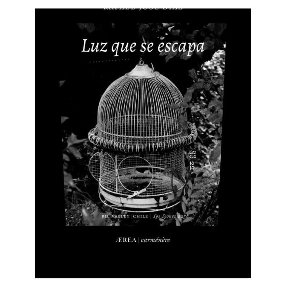 Luz que se escapa - Espanhol