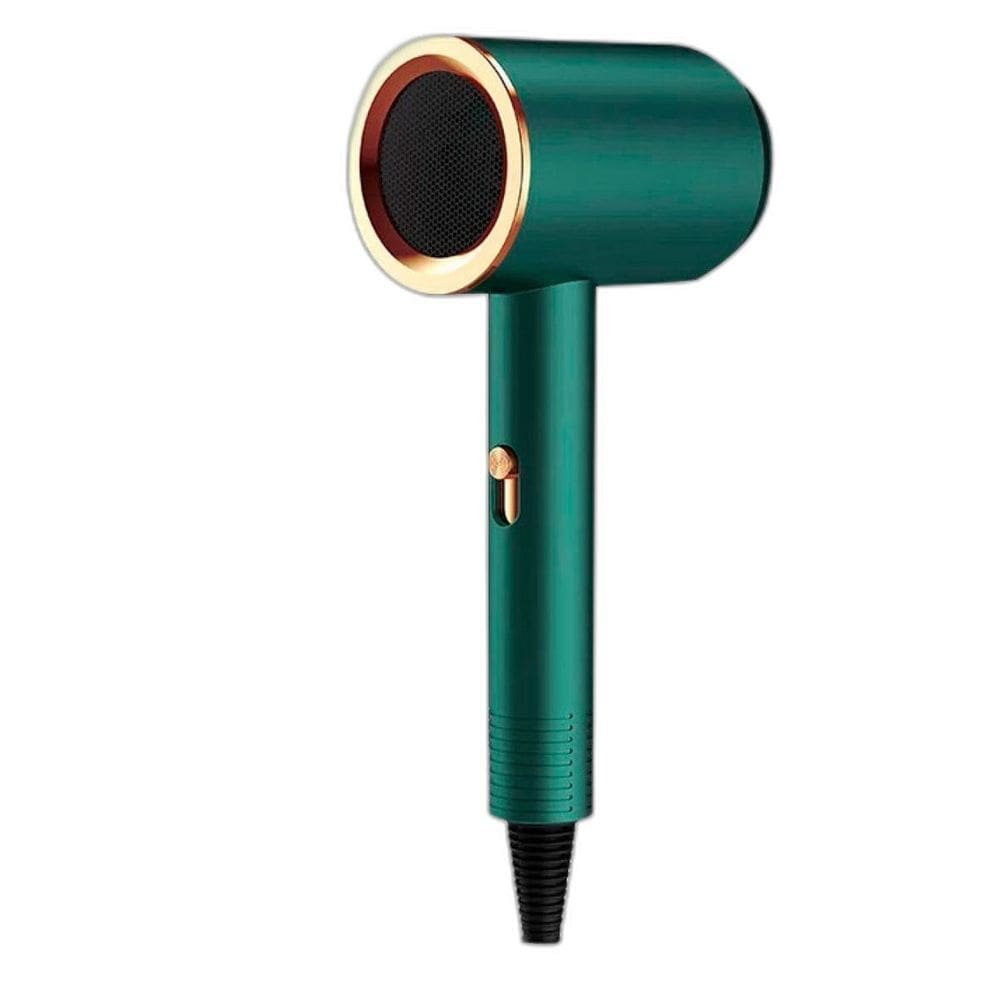 Secador De Cabelo Importado 110V