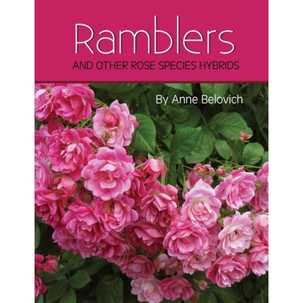 Livro RAMBLERS e outros híbridos de espécies de rosas