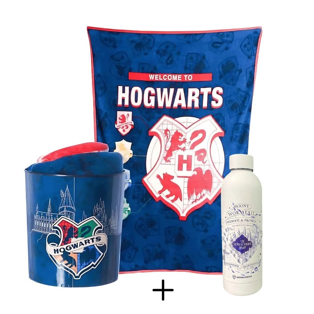 Kit Dia dos Namorados Harry Potter Balde + Manta + Garrafa