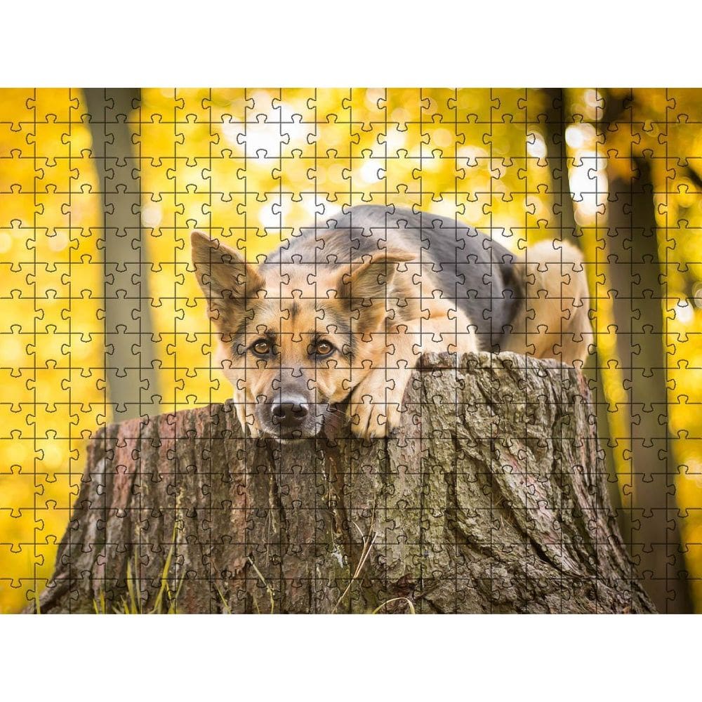 Quebra-Cabeça Inclusivo 300 Peças Cachorros Que Encantam E