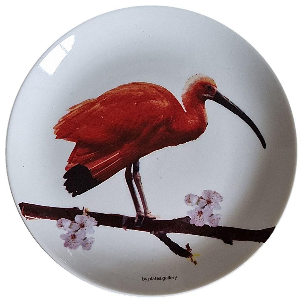 Prato De Porcelana Guará Jurema - 19 Cm