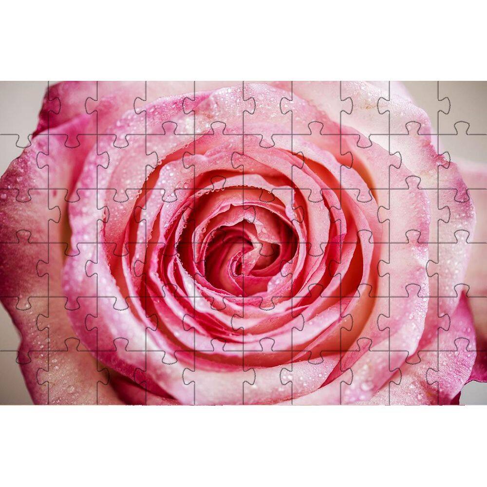4 Quebra-Cabeças De Flores Diversão Inclusiva 60 Peças
