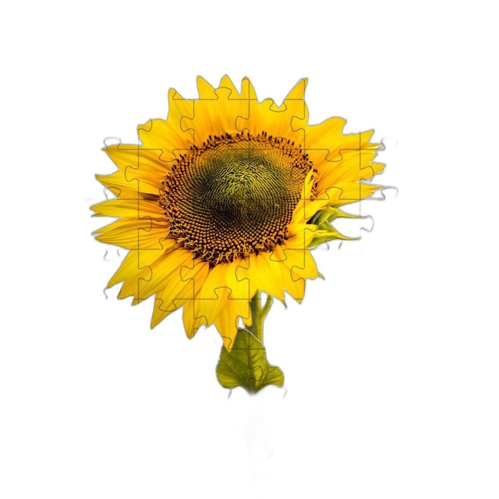 4 Quebra-Cabeças De Flores Coloridas Do Mundo De 40 Peças