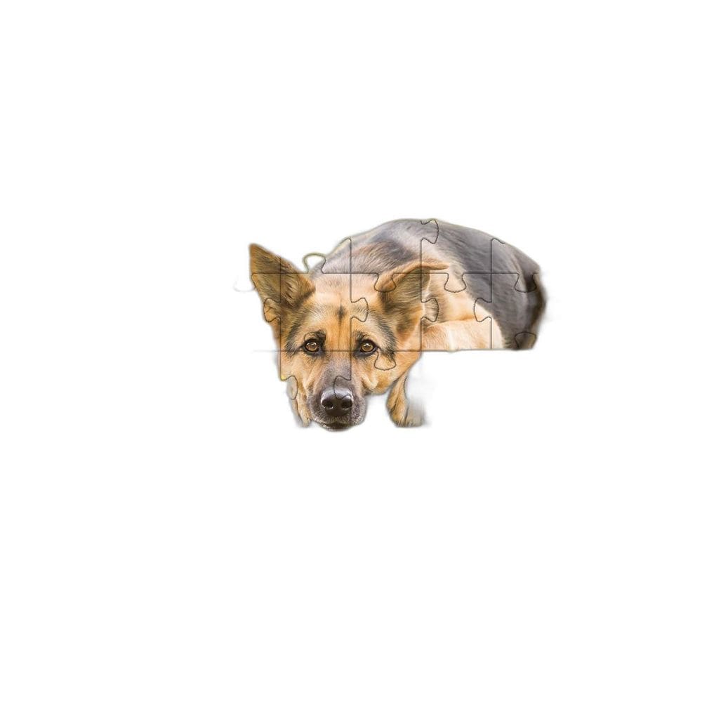 2 Quebra-Cabeças Inclusivos 40 Peças Lindos Cães Mentes