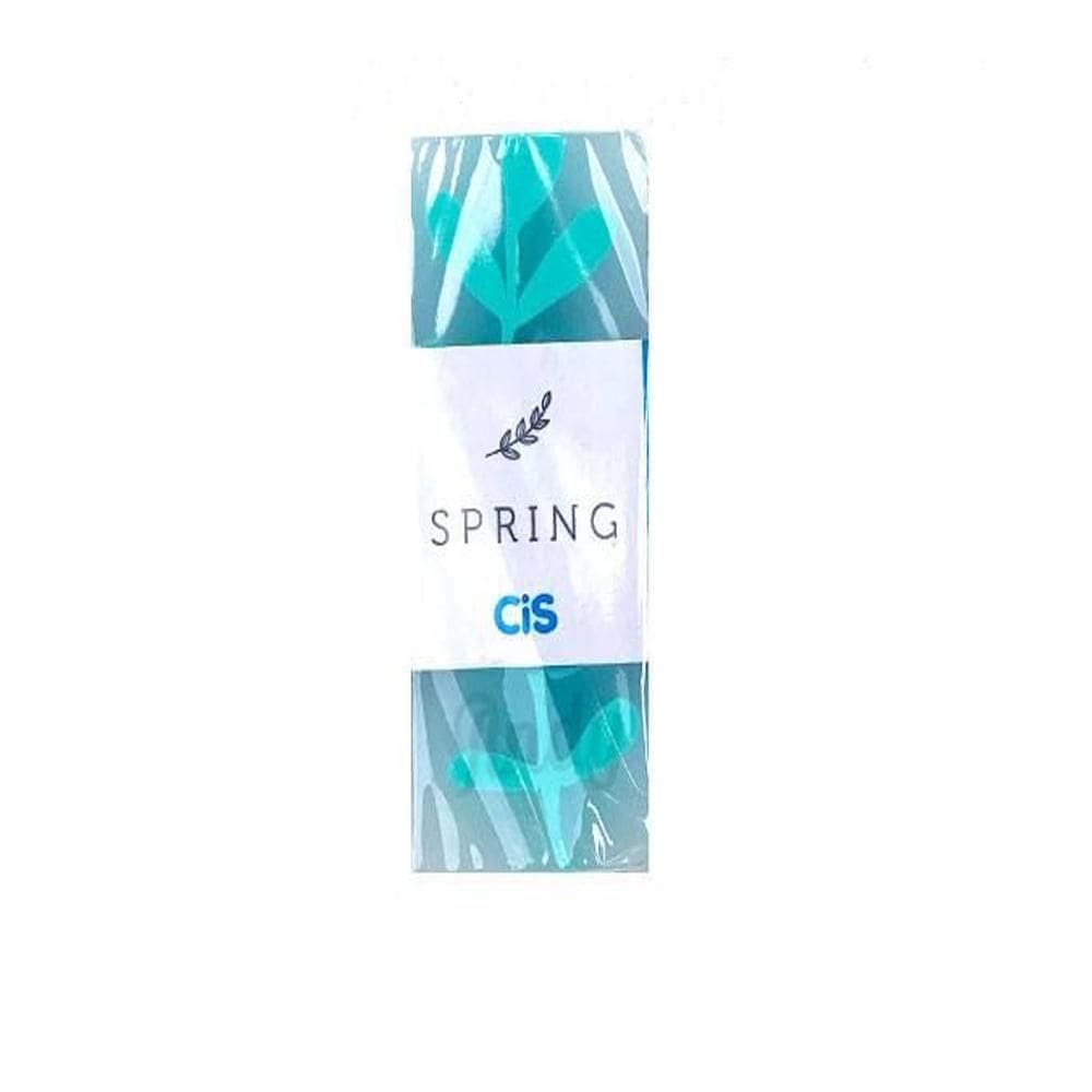 Borracha Escolar Spring Cores Pastéis Verde - Cis