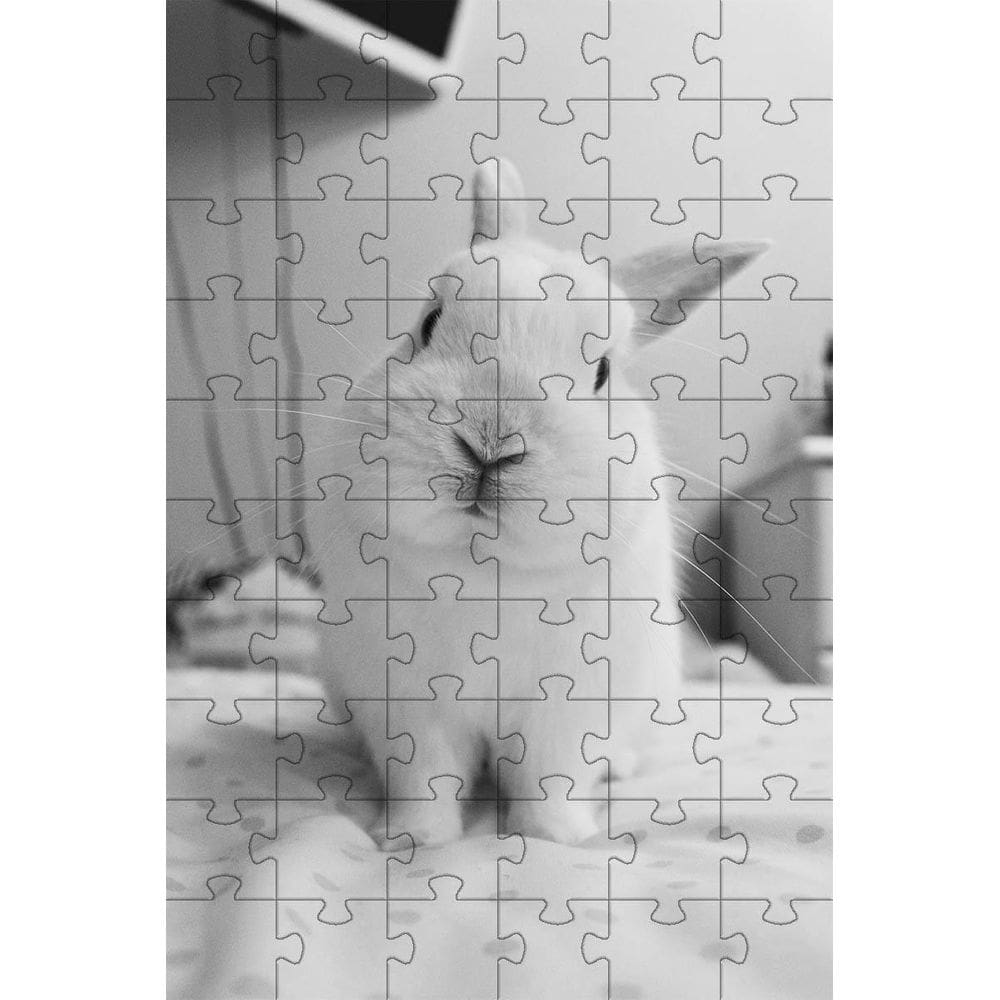 2 Quebra-Cabeças 60 Peças Coelinhos Fotos Mentes